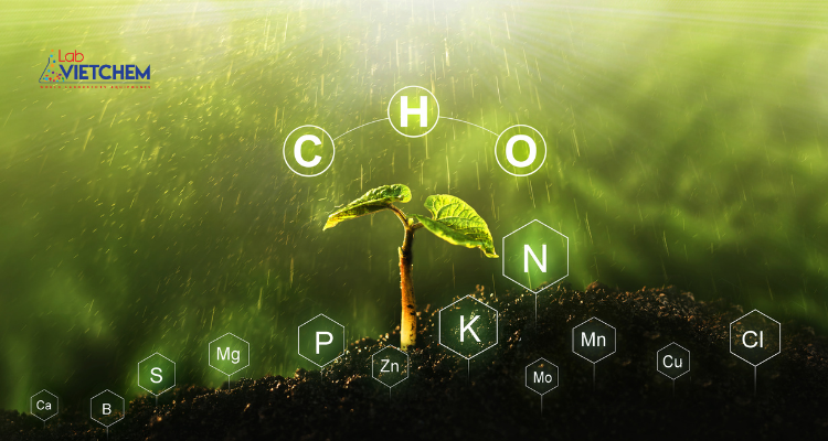 Nhiều nguyên tố phi kim là thành phần dinh dưỡng cho cây trồng