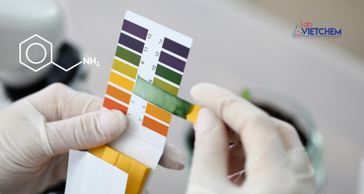 Benzylamine làm đổi màu quỳ tím thành xanh lam