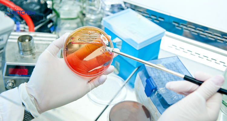 Kỹ thuật nuôi cấy vi sinh vật