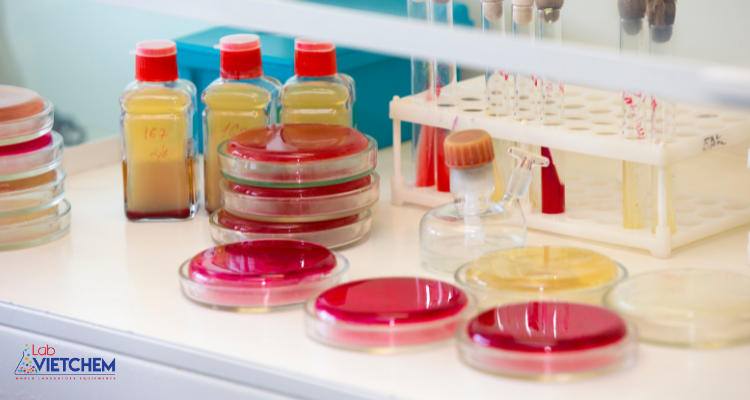 Chỉ tiêu trong nuôi cấy vi sinh vật