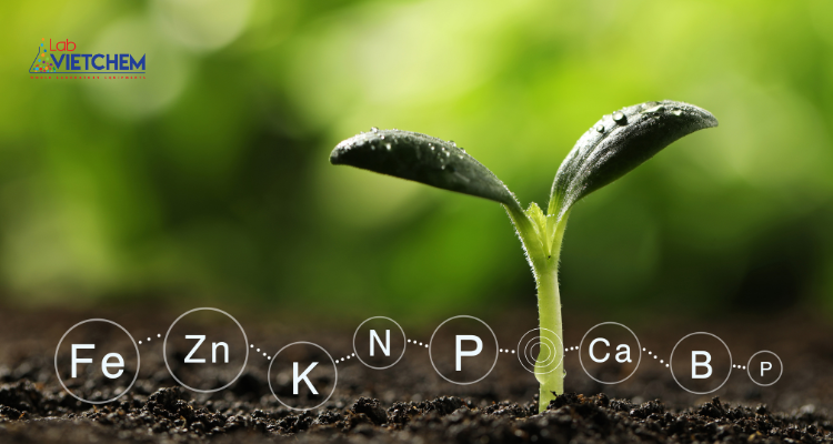 Bón phân cải thiện độ phì của đất