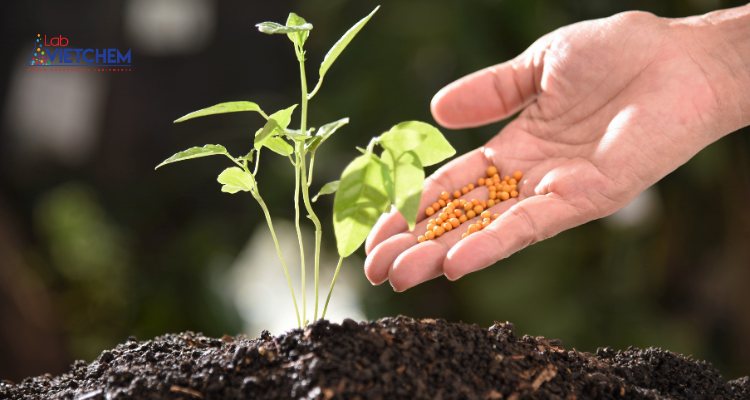 Vai trò của phân kali đối với cây trồng