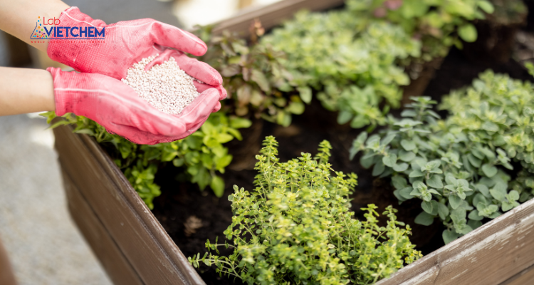 P2O5 là nguyên liệu trong phân bón