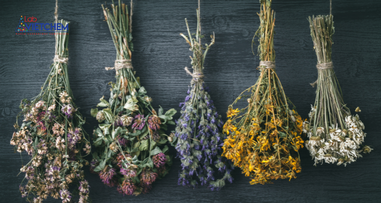 Hoa khô tự nhiên