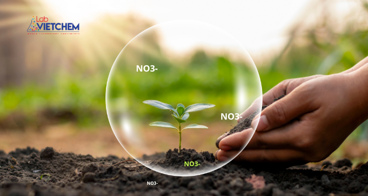Nitrat tồn tại dưới lòng đất
