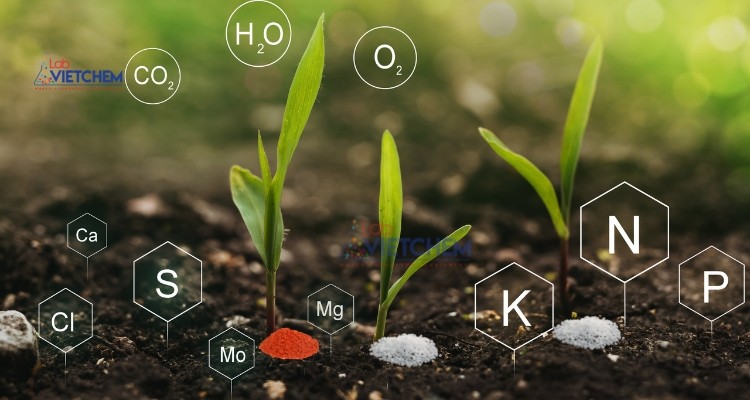 Cung cấp nguồn nitơ làm phân bón