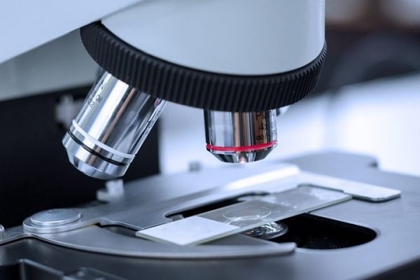 Cách sử dụng kính hiển vi sinh học bằng dầu đúng cách