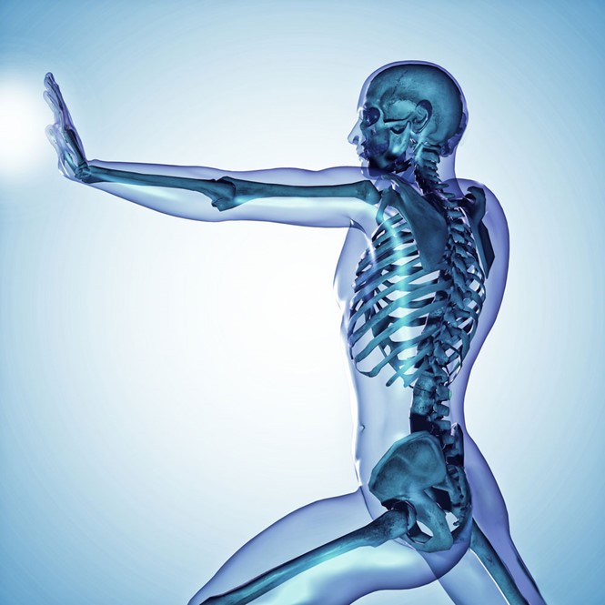 Magiê đóng vai trò quan trọng trong việc ngăn ngừa lão hóa và loãng xương ở người cao tuổi