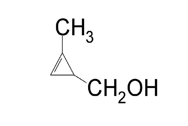 Cấu trúc của rượu