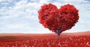 Ý nghĩa màu đỏ trong tình yêu
