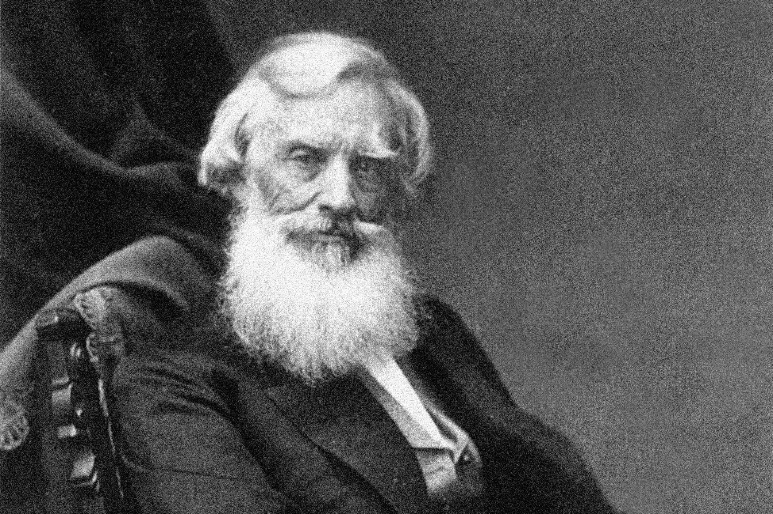 Hình ảnh của Samuel Finley Breese Morse