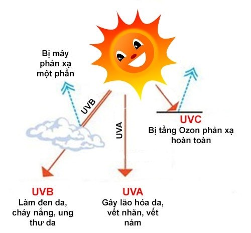 Các loại tia UV