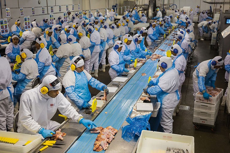 Mỡ bôi trơn dùng trong thực phẩm phải đảm bảo an toàn