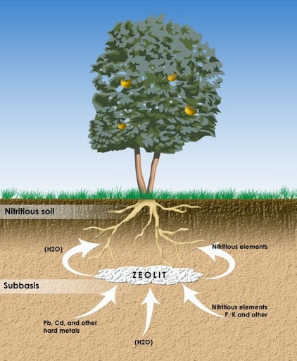 Sản xuất phân bón zeolit