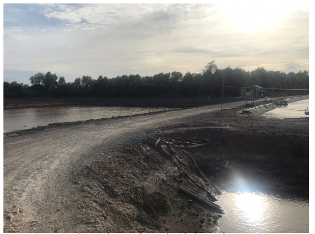 Sử dụng zeolite trong xử lý nước thải ao nuôi tôm