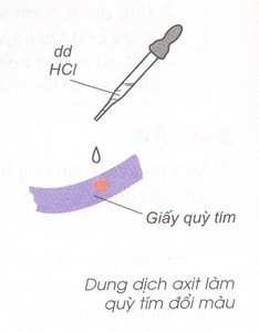 Làm giấy quỳ xanh chuyển sang màu đỏ
