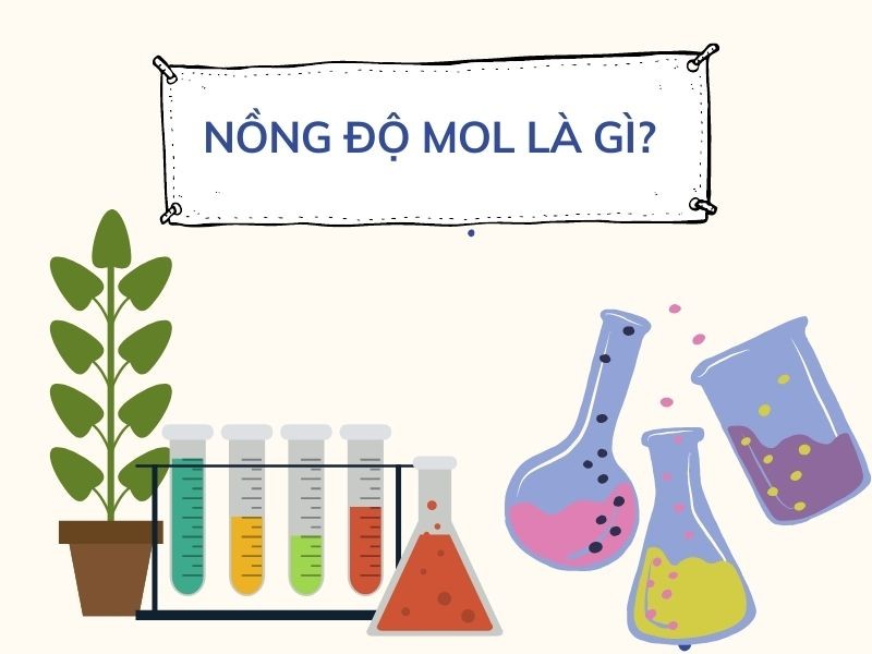 nồng độ mol là gì?