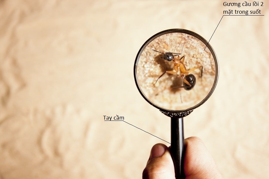 Cấu tạo cơ bản của kính lúp