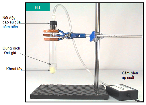 Kẹp ống nghiệm vào đúng vị trí