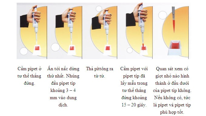 Cách sử dụng pipet đúng cách