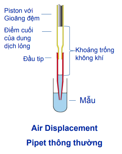 Lỗi khi sử dụng pipet