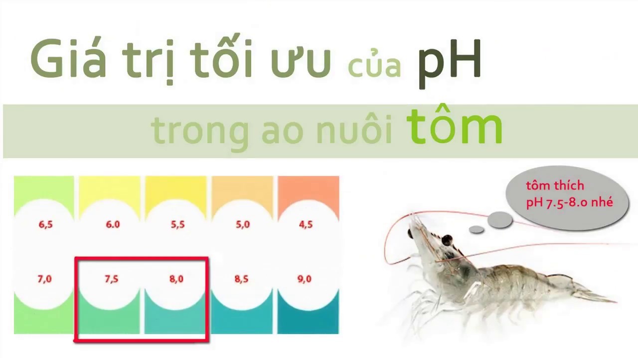 Giá trị pH thích hợp cho ao nuôi tôm