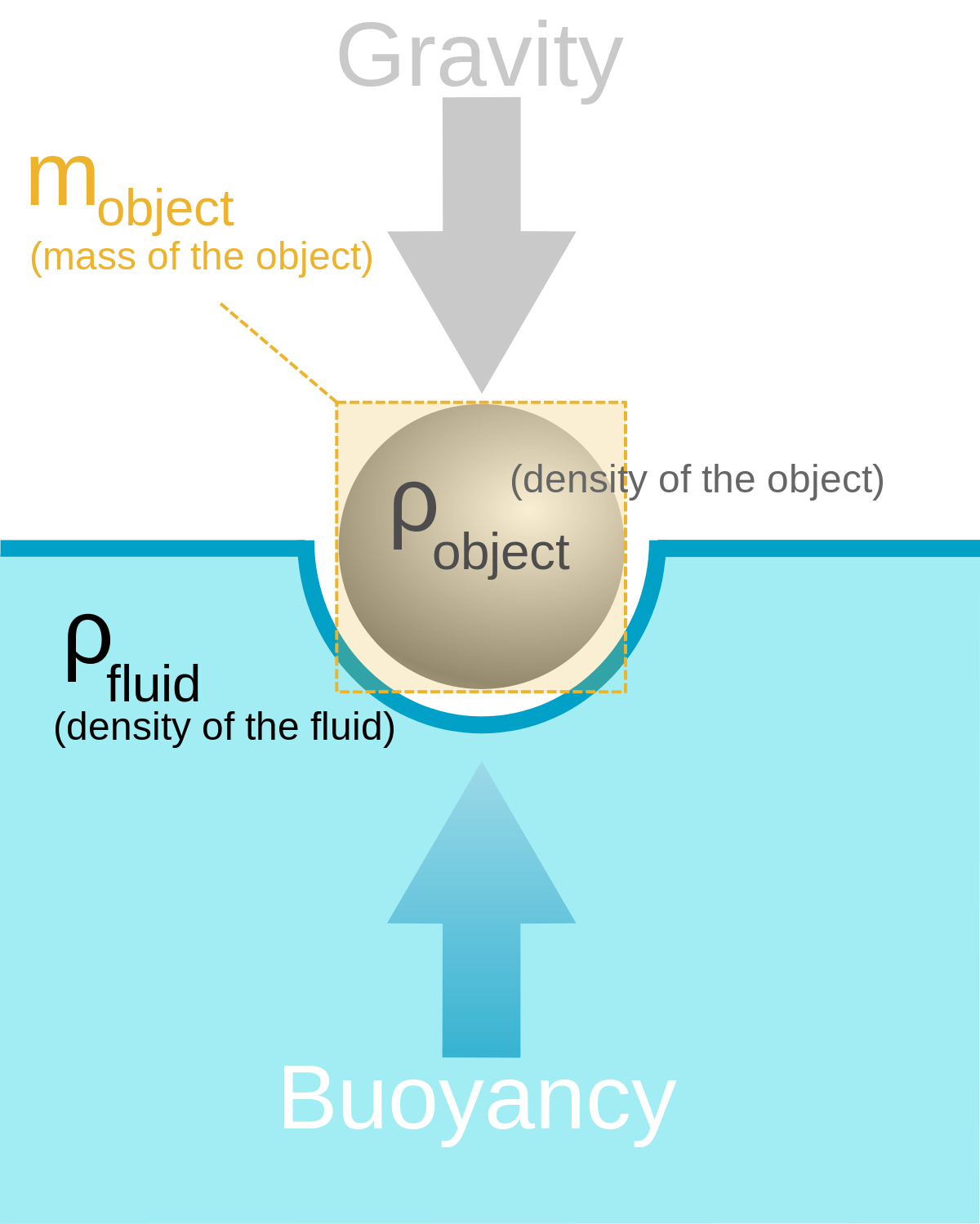 Nguyên lý lực đẩy Archimedes