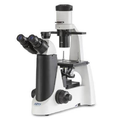 Kính hiển vi soi ngược