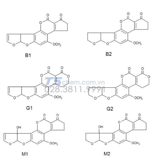 Cấu trúc phân tử của Aflatoxin