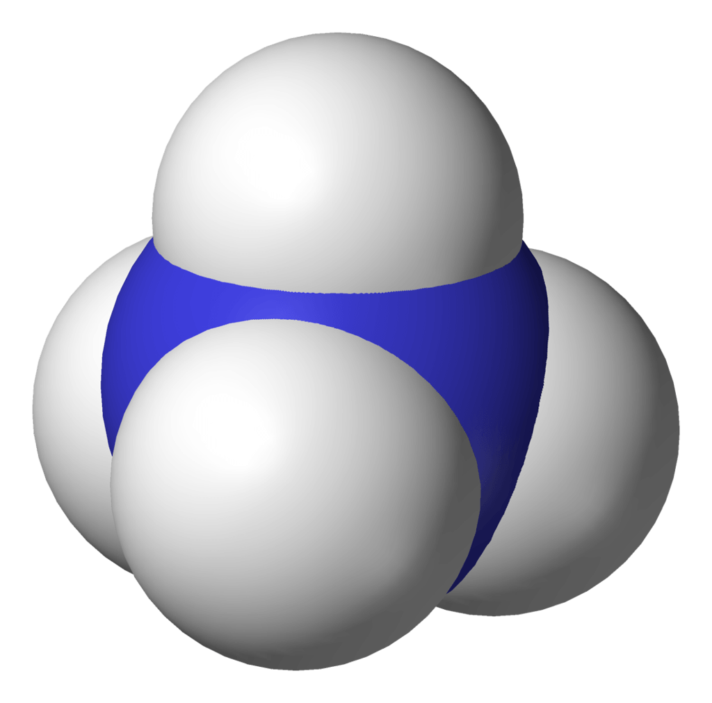 Cấu trúc phân tử NH4
