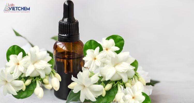 Rượu benzyl có trong tinh dầu hoa nhài
