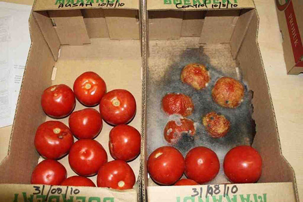 Sử dụng chất bảo quản mang lại lợi ích kinh tế cao