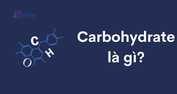 Carbohydrate là gì?