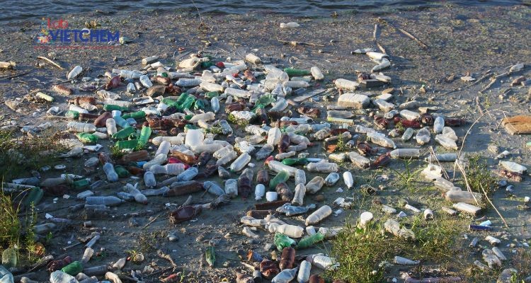 Stirene được tìm thấy trong các hộp xốp, nhựa thải ra môi trường