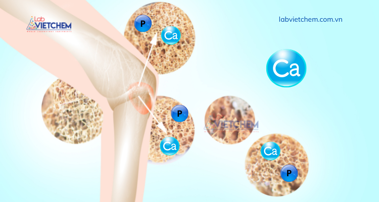 CaHPO4 bổ sung Ca, P cho xương chắc khỏe