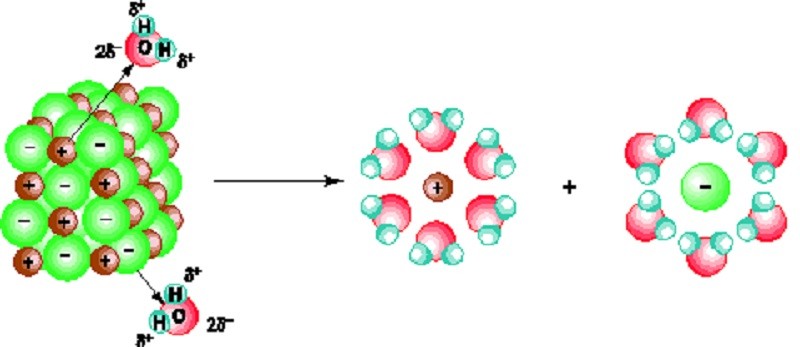 Hiđroxit lưỡng tính tan trong nước và phân ly thành axit và bazơ