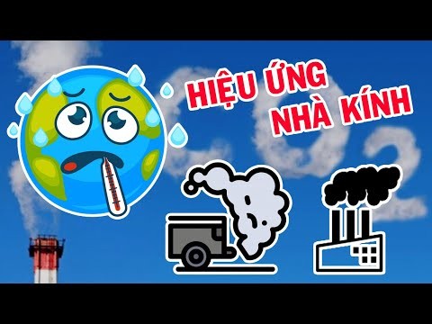 Hiệu ứng nhà kính là gì?