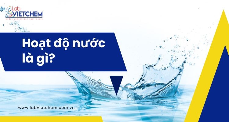 Hoạt độ nước là gì?