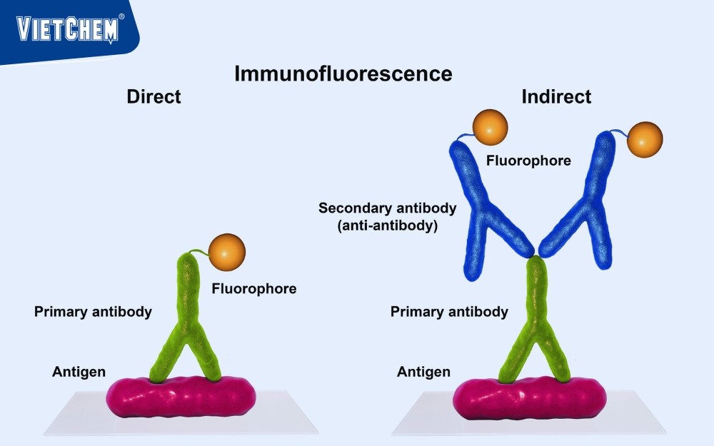 phân tích phóng xạ
