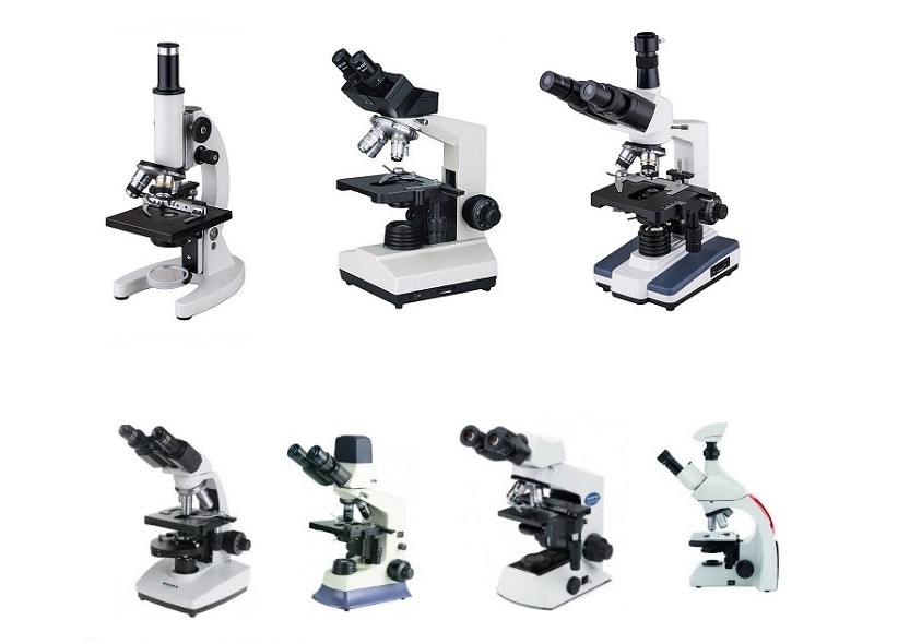 Kính hiển vi sinh học là gì?