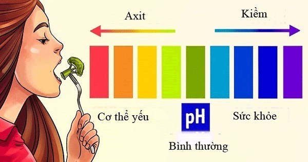 Cân bằng giữa axit và bazơ trong cơ thể