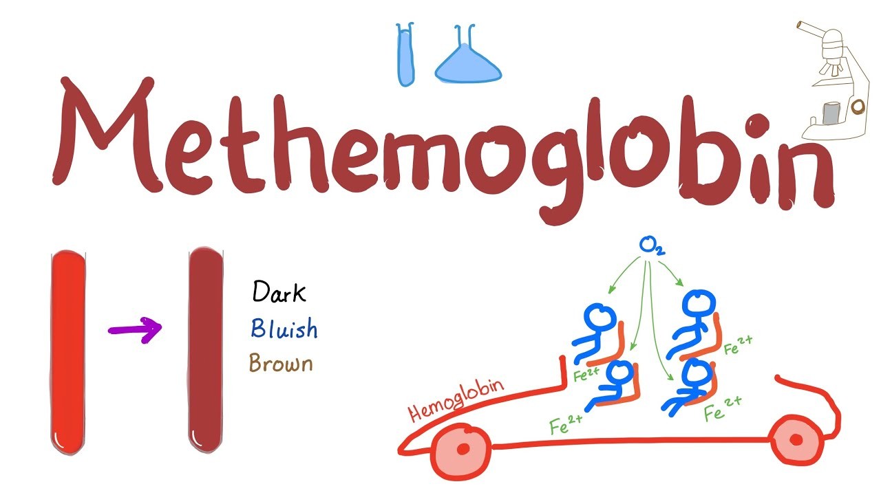 NO3 có thể gây chứng xanh tím Methemoglobin