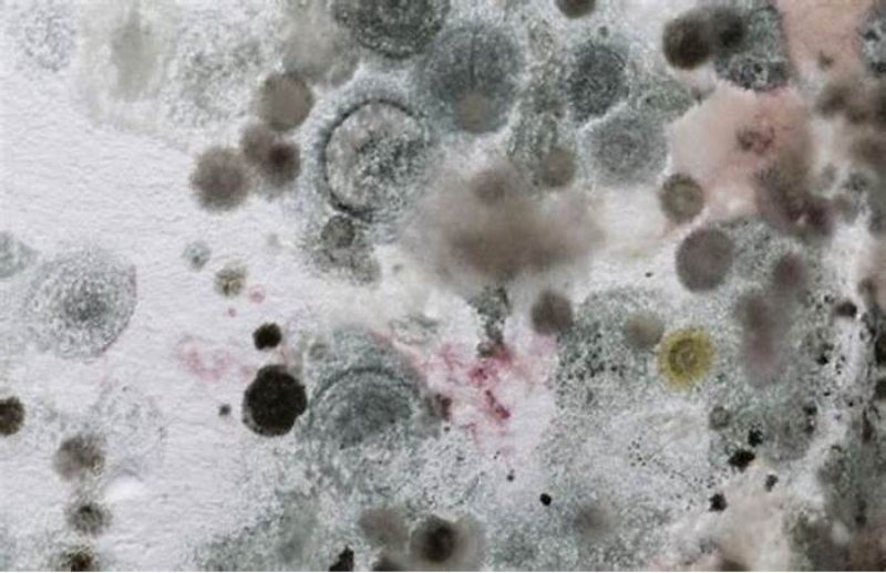 Đặc điểm kết cấu và hình dạng thực tế