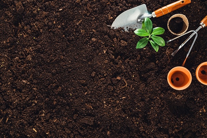 PHÒNG BẮC LÀ GÌ?