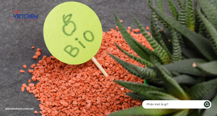 Phân kali là gì?