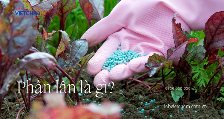 Phân lân là gì?