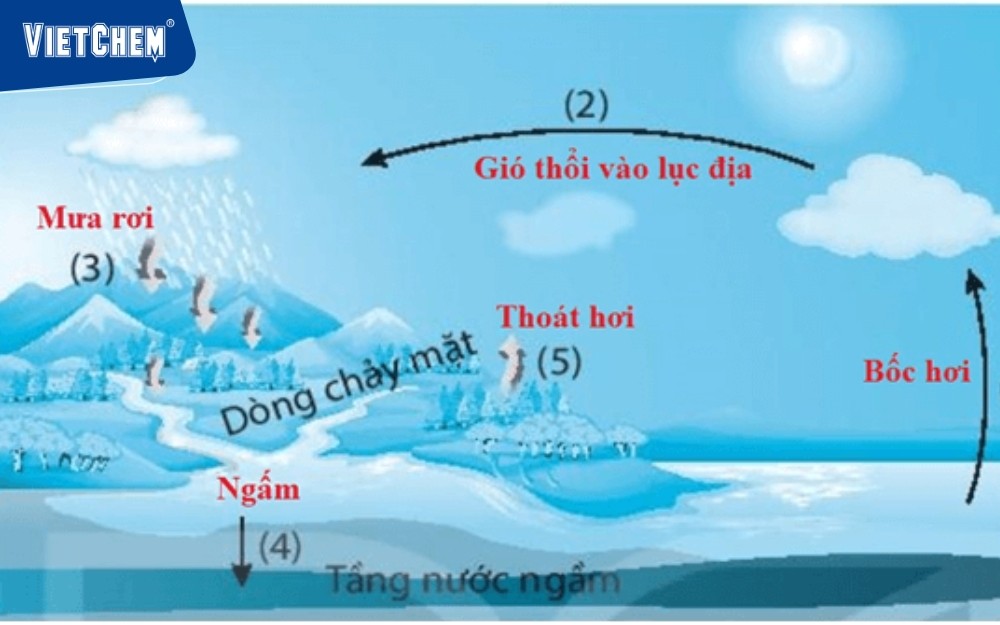 Vương-Tuấn-Hoàn-Nước