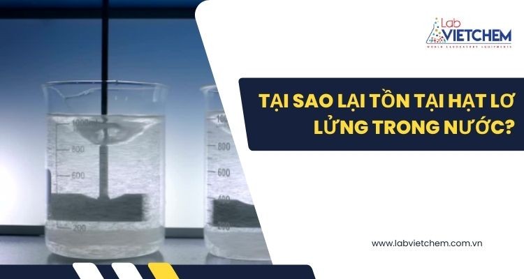 Các hạt lơ lửng tồn tại trong nước