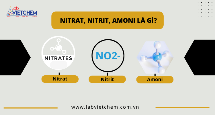 Nitrat, nitrit và amoni là gì?