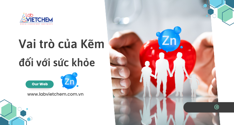 Vai trò của kẽm đối với cơ thể